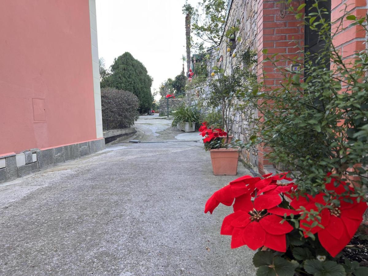 La Baita Di San Massimo Villa ราปาลโล ภายนอก รูปภาพ
